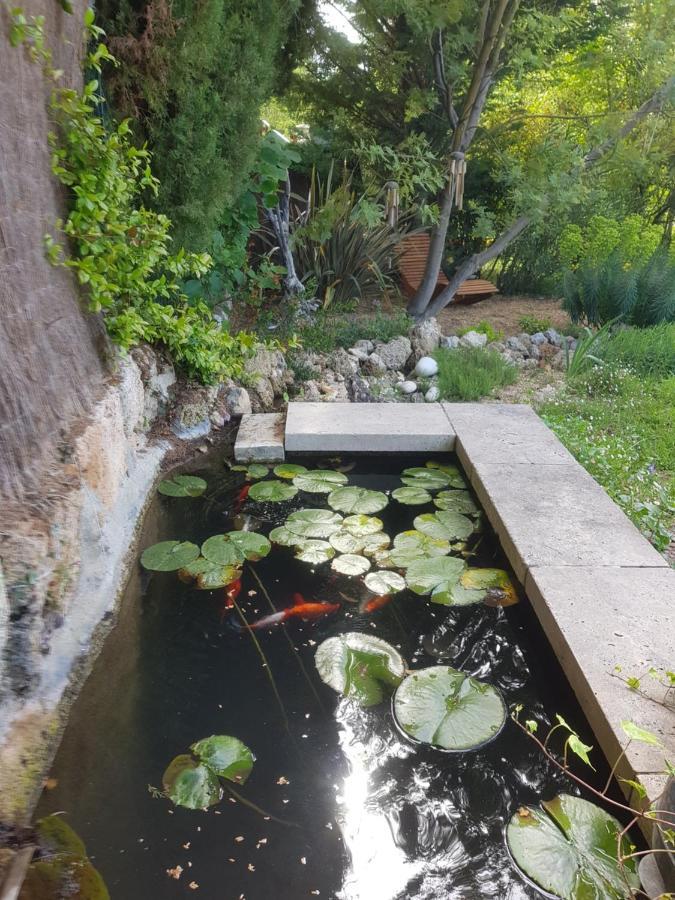 Maison Mimosa Salernes Esterno foto