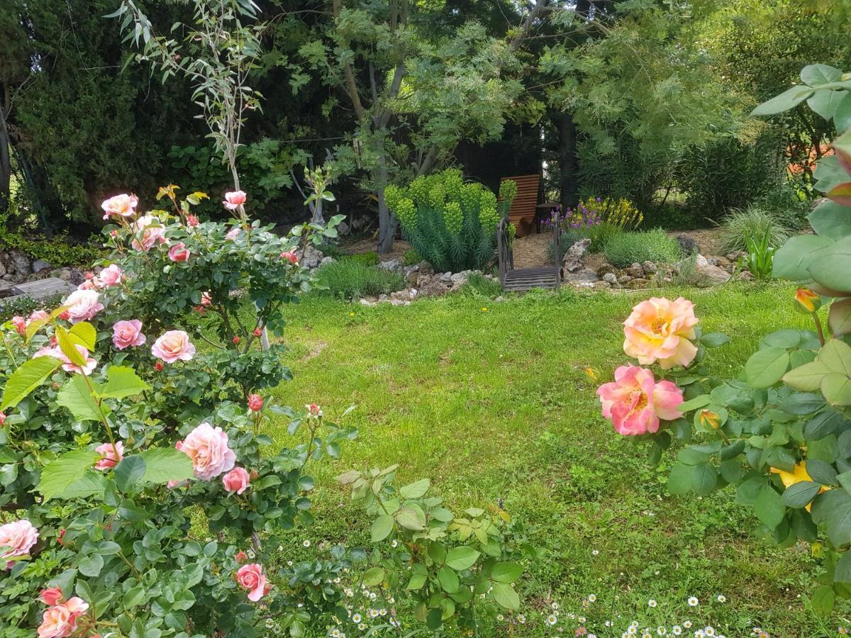 Maison Mimosa Salernes Esterno foto